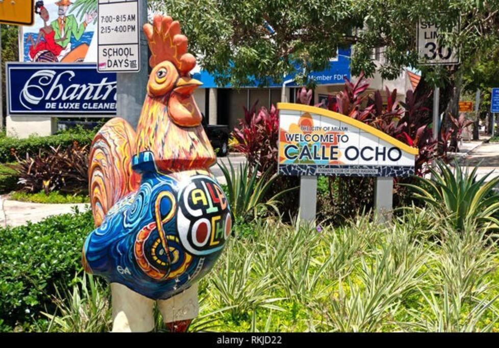 מיאמי Intimate Casita Mia Minutes Away From Airport, Calle 8, Brickell, Coral Gables, The Beach And More! מראה חיצוני תמונה